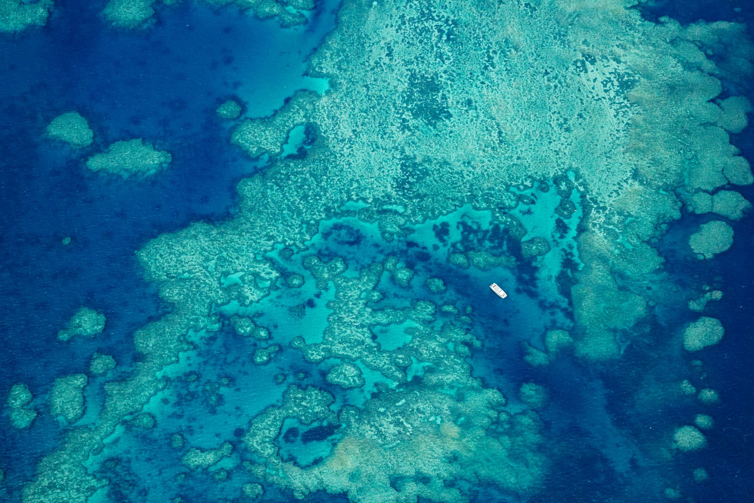 Mitch & Alex :: Whitehaven Beach Whitsundays – Two Blushing Pilgrims